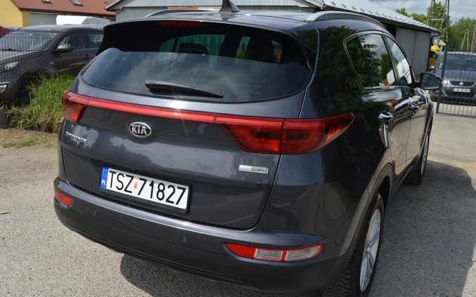 Kia Sportage cena 63900 przebieg: 173000, rok produkcji 2016 z Olsztynek małe 631